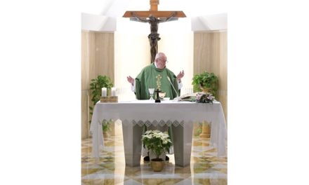 Папа: ми не повинні молитись немов «папуги», не цікавлячись тим, чого просимо