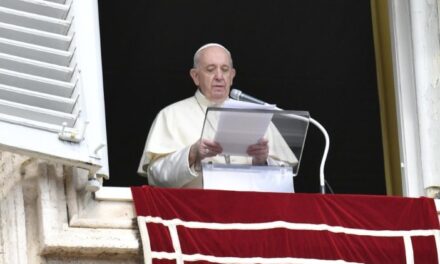 Папа: Церква – Божий виноградник, а не наш, влада – це служіння