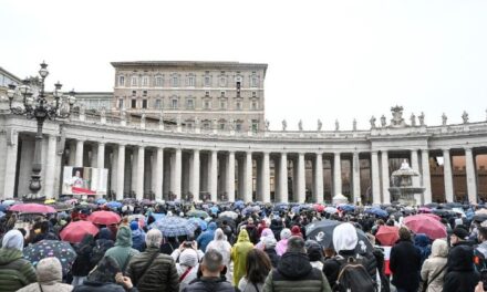 A háborúk által okozott halál és fájdalom botrány az egész emberi család számára – Leó pápa felhívásai
