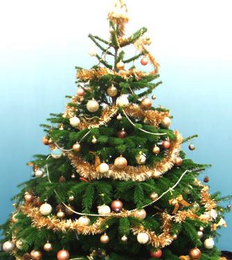 Різдвяна ялинка