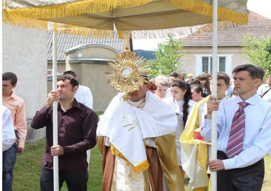 Vel bereznyj