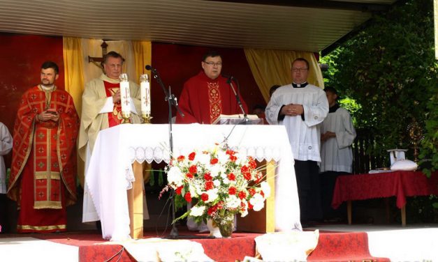 Усе наше життя – це дозрівання у любові