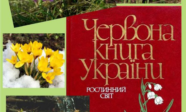 Не вбивай первоцвіти!