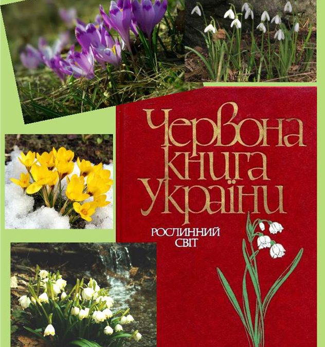 Не вбивай первоцвіти!