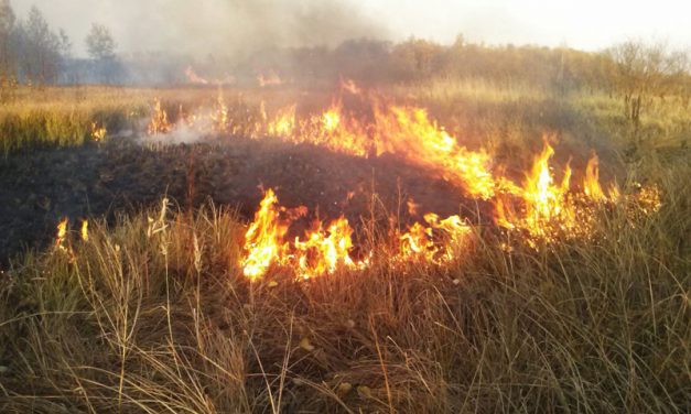 Звернення єпископів ПРОТИ ВЕСНЯНИХ ПІДПАЛІВ!
