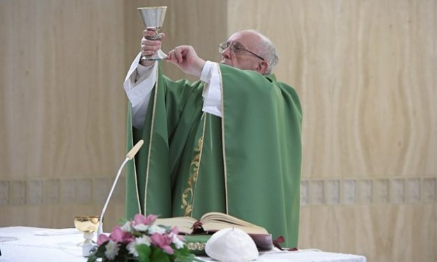 Папа Франциск: докори совісті – це симптоми спасіння