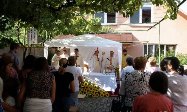 Свято домініканської родини