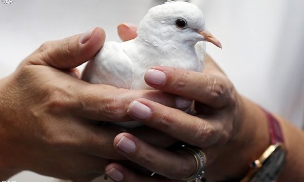 Міжнародна зустріч «Європейська молодь за світ без насильства»