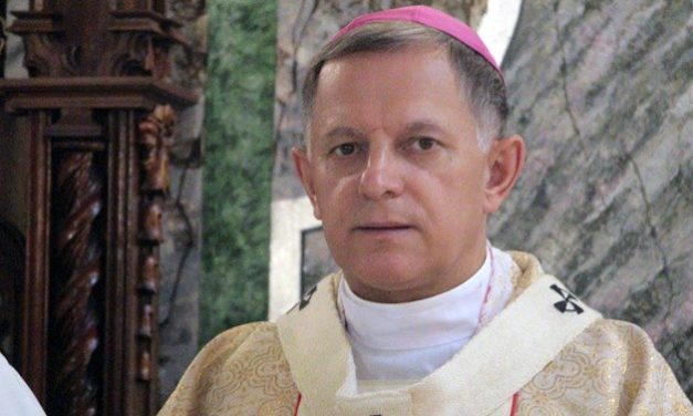 МИТРОП. МЕЧИСЛАВ МОКШИЦКИЙ: «РУССКАЯ КУЛЬТУРА НЕ ЧУЖДА УКРАИНСКОМУ НАРОДУ»