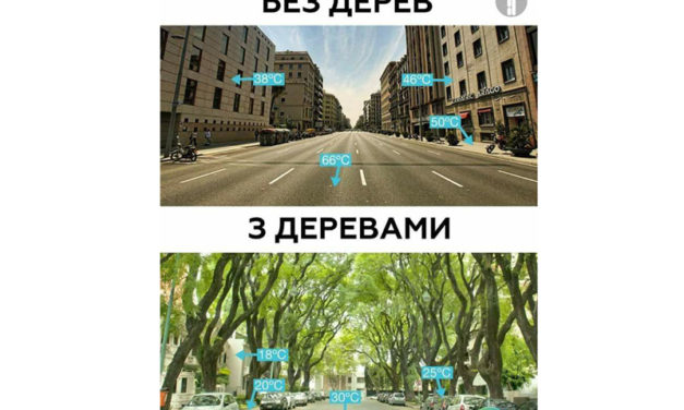 Бог довірив нам світ. Дбаймо про планету там, де живемо!