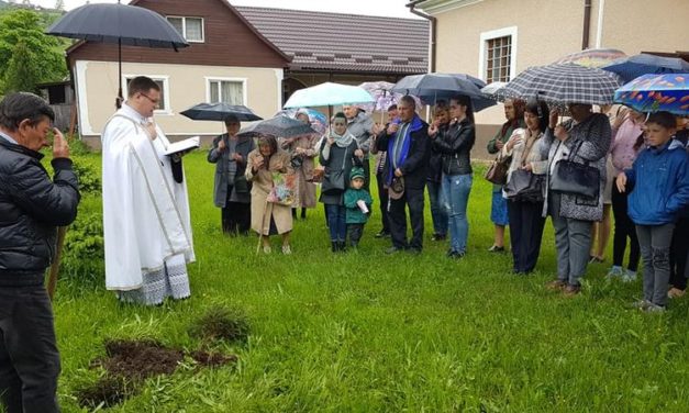Їдеш до Папи? Посади дерево!