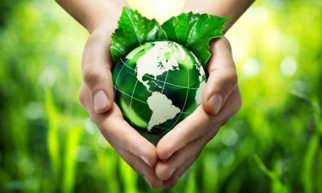 Об’єднання європейських християн закликають молитися і діяти, аби зберегти створіння