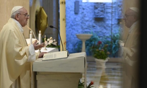 Папа Франциск: нехай же в сім’ях зростає любов