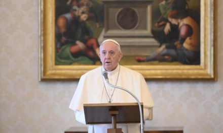 Неділя з Папою: заклик до дбання про створений світ і заохочення для дітей