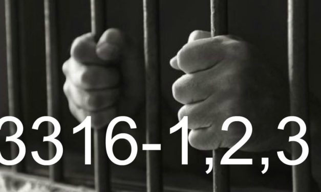 Комітет ВР відхилив законопроект 3316, що встановлює до 8 років тюрми за критику гей-парадів та ЛГБТ