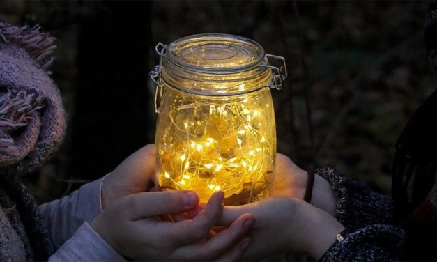 Папа: Друзі – відблиск Божої любові