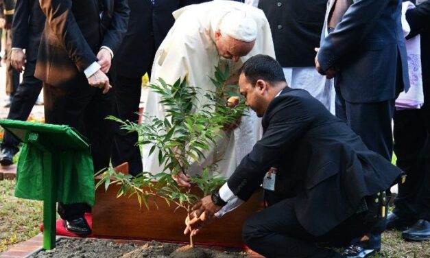 Послання Папи з нагоди Всесвітнього Дня молитви за дбання про створіння
