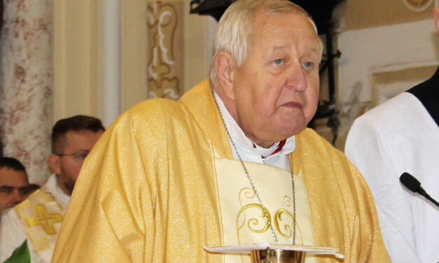 Господь Бог від нас, християн, вимагає свідчити про любов