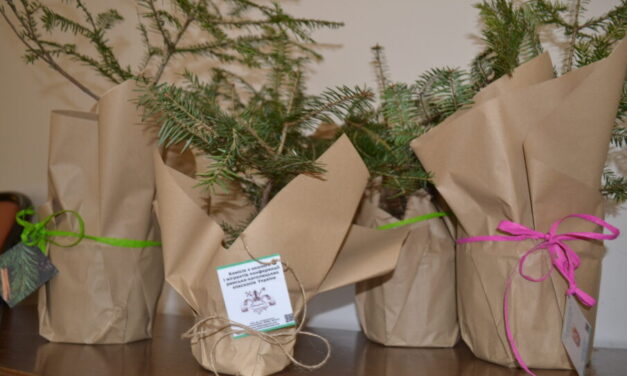 Збережи ялинку!