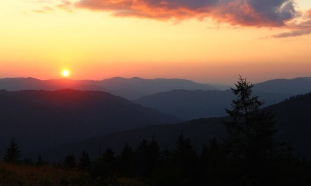 ВІДПОВІДАЛЬНІСТЬ ЗА ТВОРІННЯ  ТА БУДІВНИЦТВО МЕГАКУРОРТУ НА СВИДОВЦІ В КАРПАТАХ