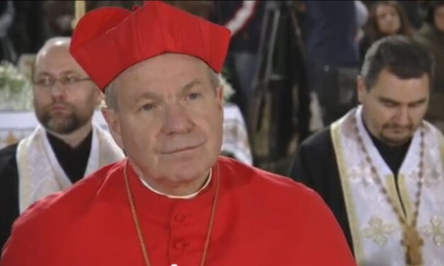 Кардинал Шенборн закликав Австрію до молитви та посту за Україну