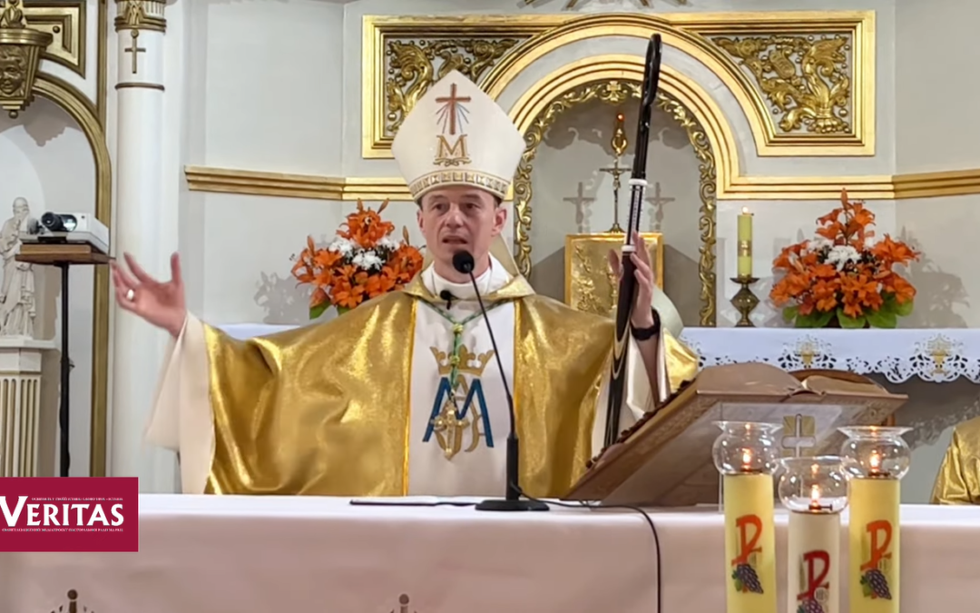 Єпископ Микола Лучок ОР: Бути стійкими. У чому сенс страждання?