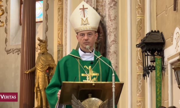 Єпископ Микола Лучок: Час діяти, а не говорити про любов