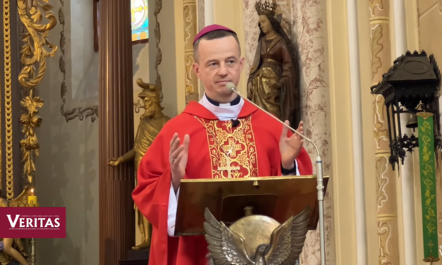 Єпископ Микола Лучок ОР: використати або послужити?