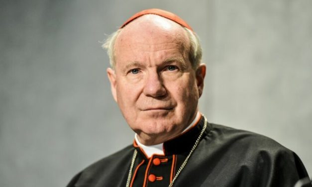 Архиєпископ Відня висловив солідарність з Україною і закликав підтримати сиріт