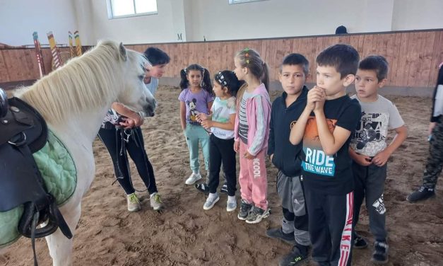 Карітас на Закарпатті через зоотерапію допомагає відновитись дітям-переселенцям