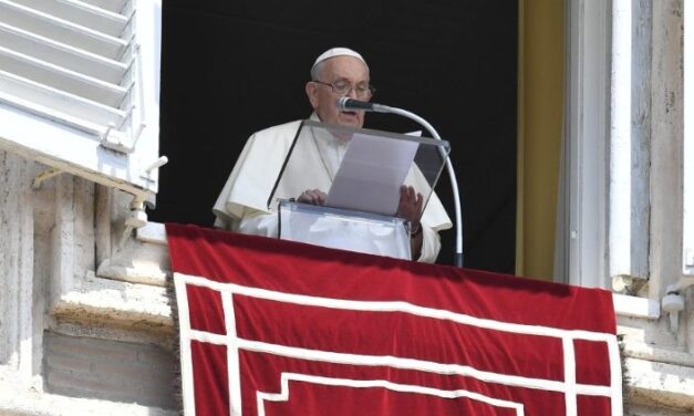 Папа: нищити зерно, Божий дар, – це тяжка образа Бога
