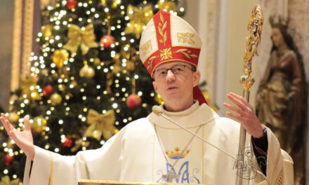 Єпископ Микола Лучок ОР: несімо благословення в цей світ, як Марія