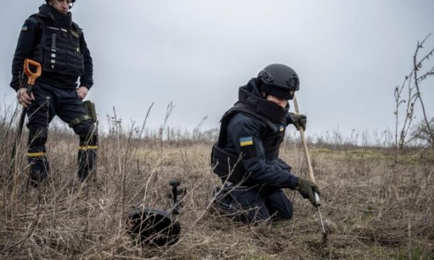 Папа: подяка тим, хто розміновує території та допомагає постраждалим від мін