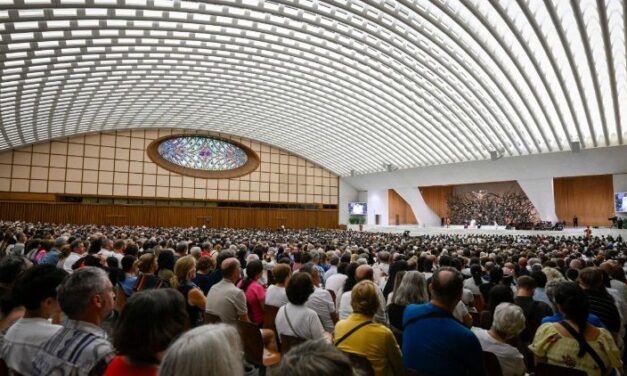 Папа: в темні періоди любов Божа підтримує нас і робить зрілим плід вічного життя