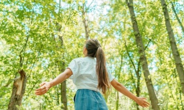 Пора створіння 2025: Церкви Європи закликають до «Миру зі створінням»