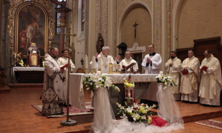 Урочистість святого Мартина у Мукачівській катедрі