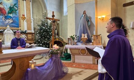 Встановлення пароха у Великому Березному