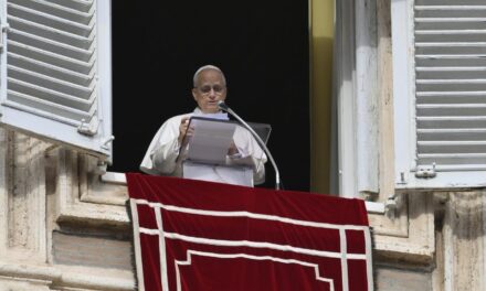 Папа: солідарні з тими, хто страждає від війн