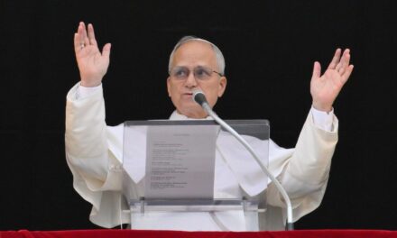 Папа: не переставаймо молитися за мир; мир починається з гідності