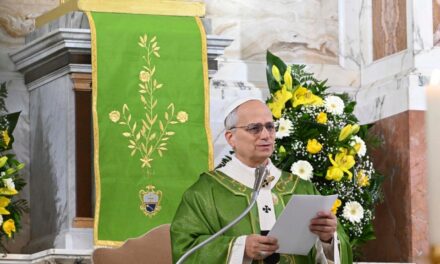 Папа: не мирімося з культурою утисків, роззброюймо мову, молімося про мир