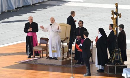 Папа: Церква не може помилятися щодо віри, всі покликані до свідчення