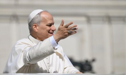 Заклики Папи на загальній аудієнції: християни покликані бути будівничими миру